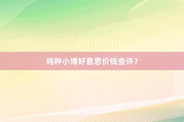 纯种小博好意思价钱些许？