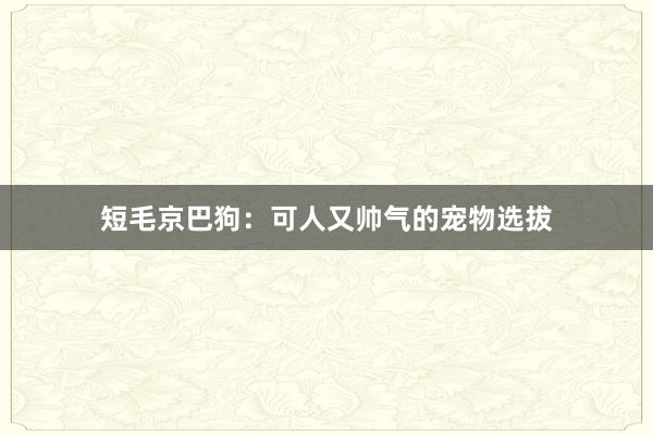 短毛京巴狗:可人又帅气的宠物选拔