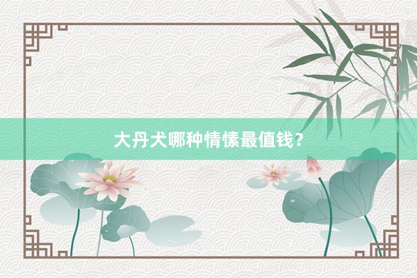 大丹犬哪种情愫最值钱？