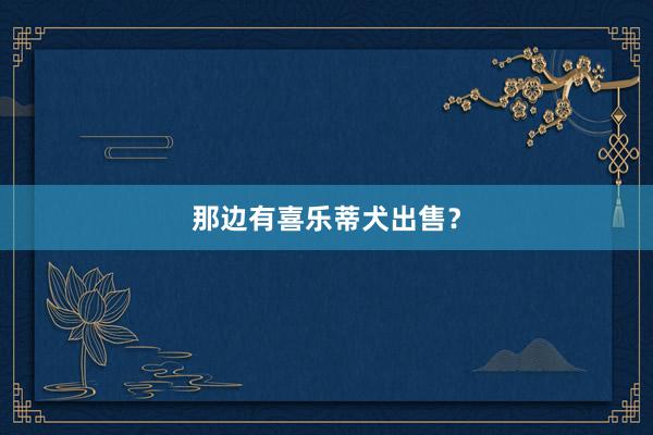 那边有喜乐蒂犬出售？