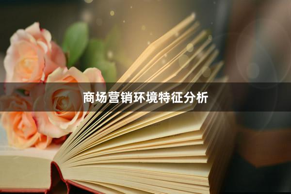 商场营销环境特征分析